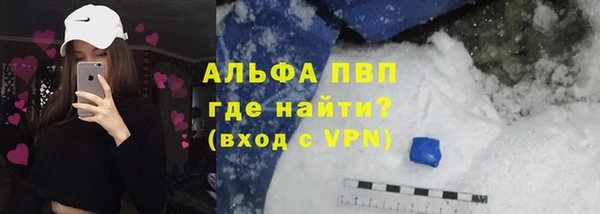 прущие грибы Новокубанск