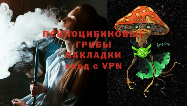 дурь Новозыбков