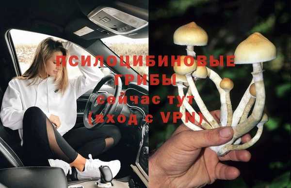 герыч Нефтегорск