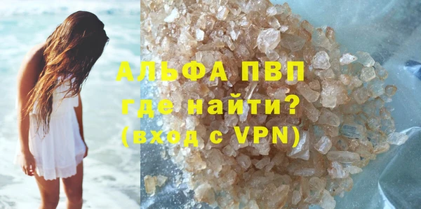 прущие грибы Новокубанск