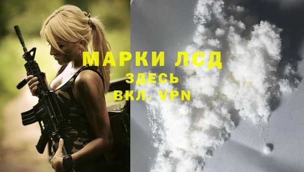 прущие грибы Новокубанск