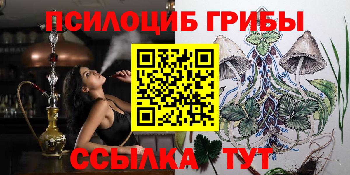 Кинешма  Галлюциногенные грибы ЛСД  Вход с VPN  где купить наркоту  Псилоцибиновые грибы мицелий 