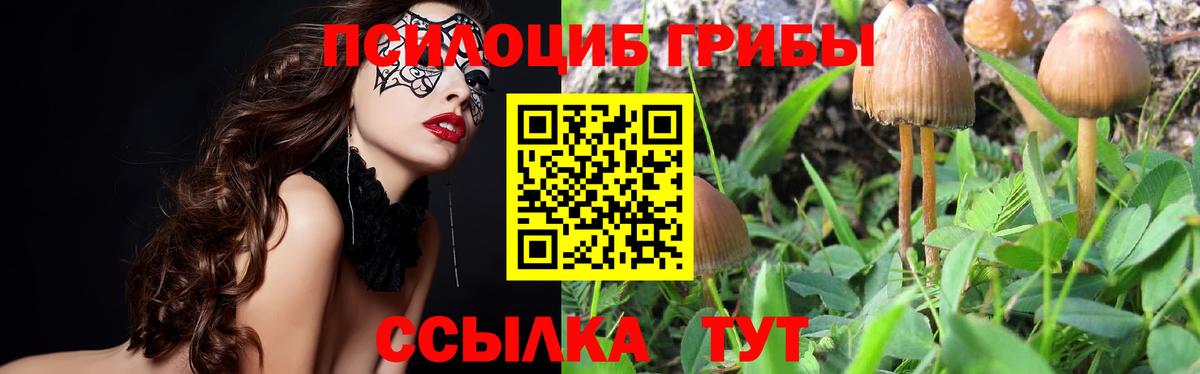 Псилоцибиновые грибы MAGIC MUSHROOMS Кинешма